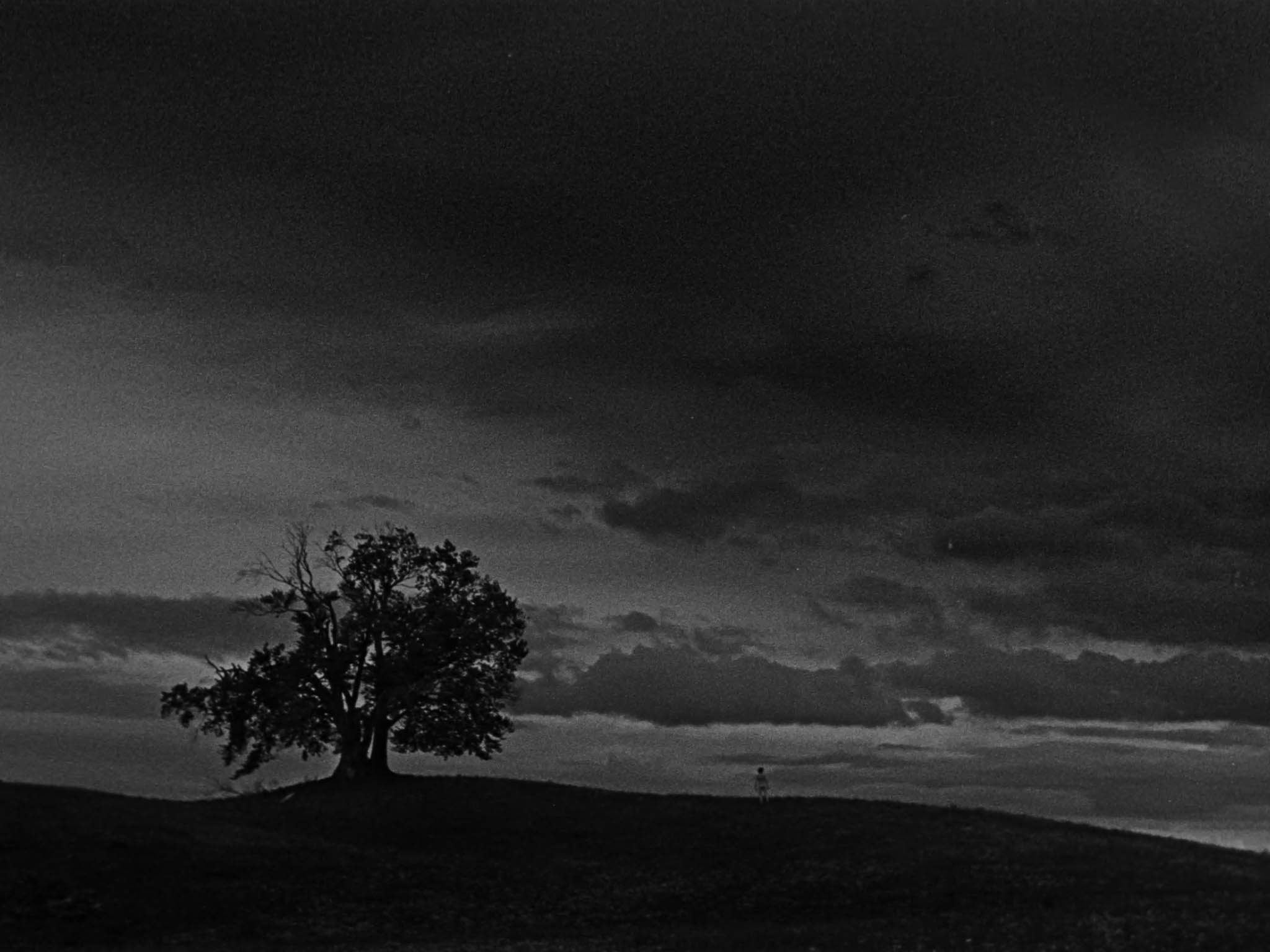ecce homo &mdash; still 05