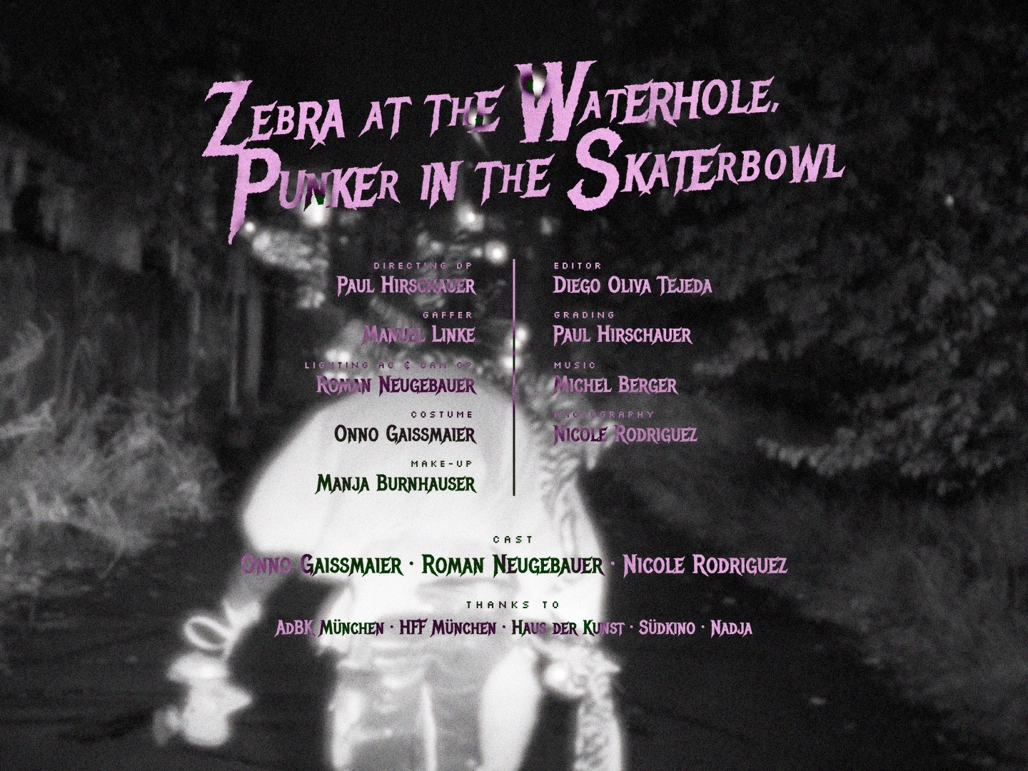 zebra at the waterhole, punker in the skaterbowl &mdash; still 13