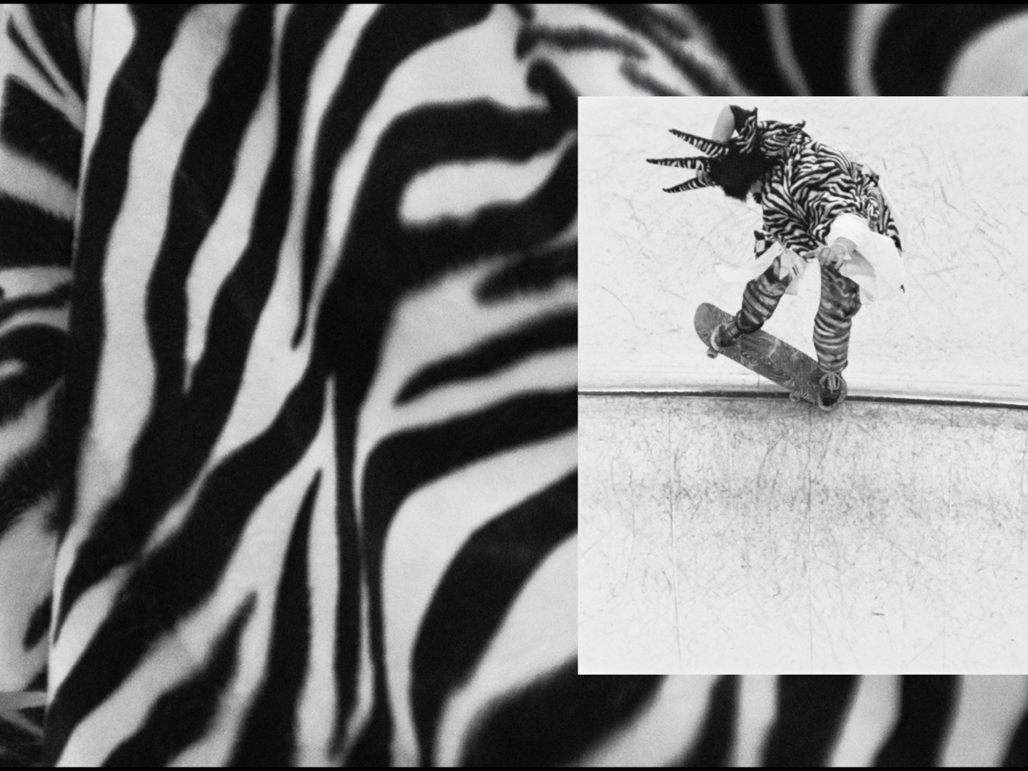zebra at the waterhole, punker in the skaterbowl &mdash; still 09